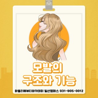 모발의 구조와 기능